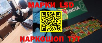 индика Можга