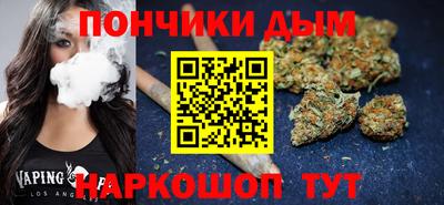 индика Можга