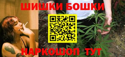 индика Можга