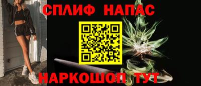 индика Можга