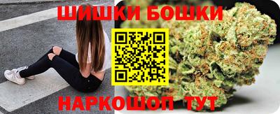 индика Можга